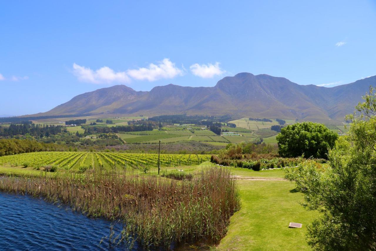 Carole'S Cottage Hermanus Eksteriør billede